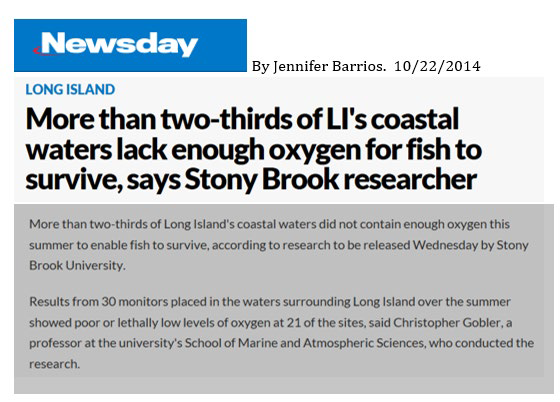 Newsday article - more than 2/3 of LI's coastal water lack enough oxygen for fish to survive, says Ston Brook researcher