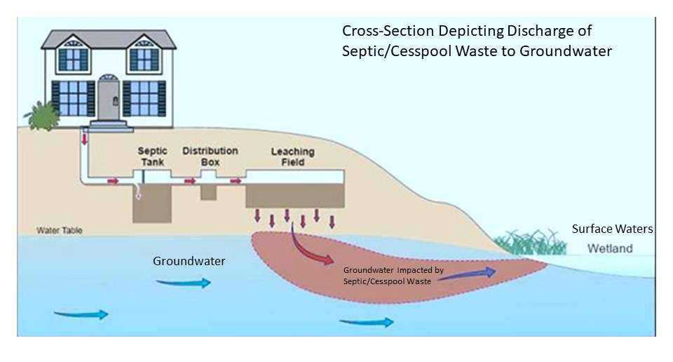 Cross-section depicting discharge of septic/cesspool waste to groundwater